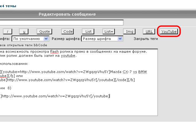 flash_youtube.gif