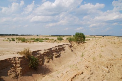DSC_0014.jpg