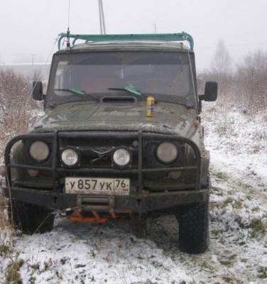 мой красавчег 1.JPG