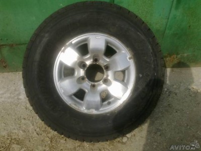 49149231.jpg