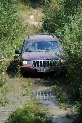 normal_DSC_3513.JPG