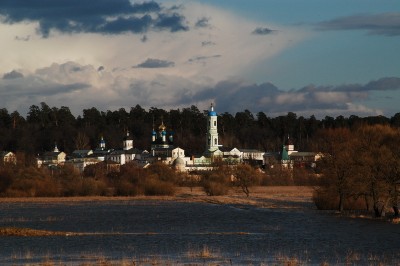 33151.jpg