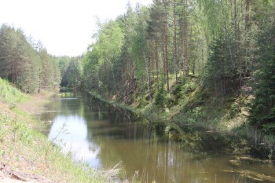 IMG_7185.JPG
