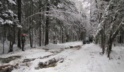 normal_IMG_6995.JPG