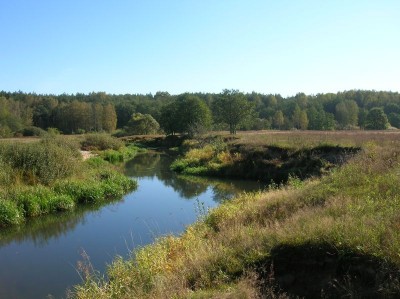03.jpg
