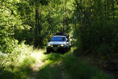 DSC_0030.JPG