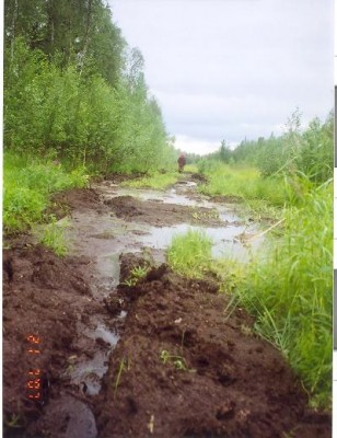 сканирование0004.jpg
