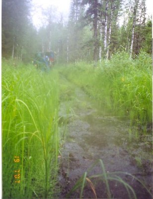 сканирование0003.jpg