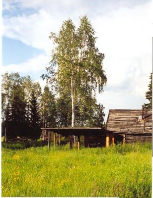 сканирование0001.jpg