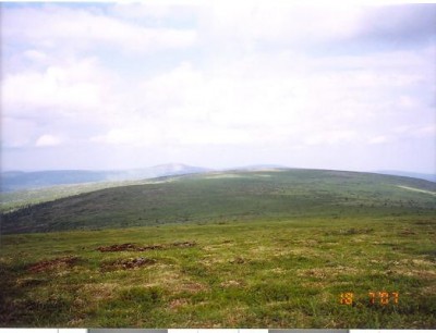 сканирование0010.jpg