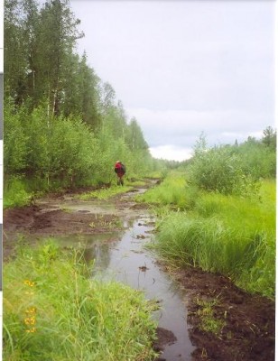 сканирование0009.jpg