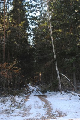 DSC_0075.jpg