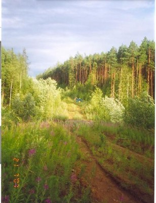 сканирование0014.jpg