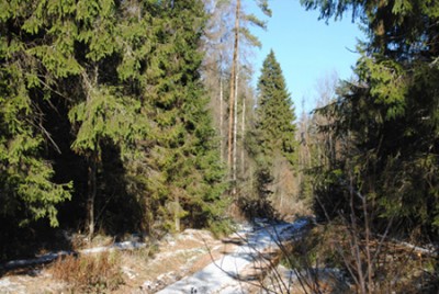 DSC_0067.jpg