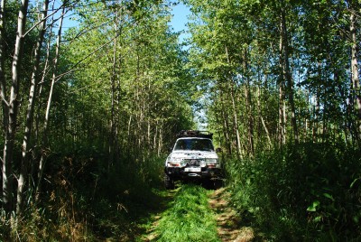 DSC_0011.JPG
