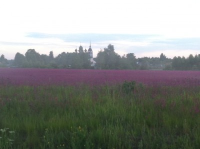 image (3).jpeg