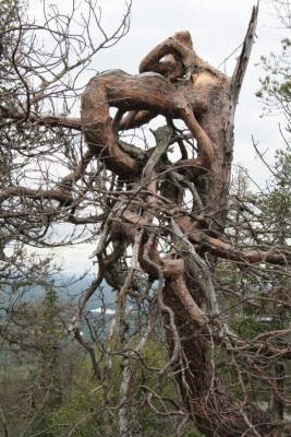 feed.photo.jpg