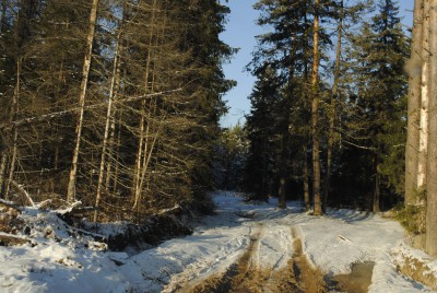 _DSC0167.JPG