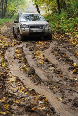 DSC_0385.JPG