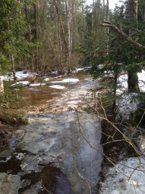 image2.JPG