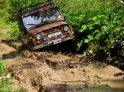 IMG_0151_cr.jpg