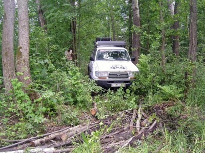 club4x4_внедорожник_активныйотдых.JPG