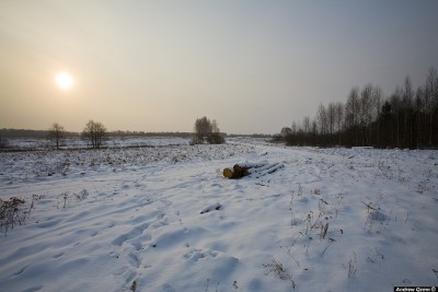 82166950.jpg