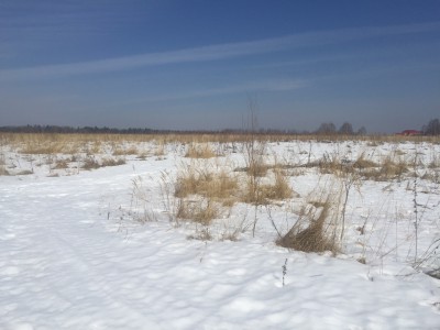 image2(1).JPG