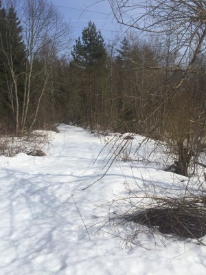 image5.JPG