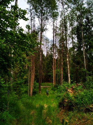 IMG_2018-06-17_154637_HDR.jpg