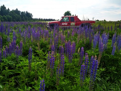 IMG_2018-06-17_155207_HDR.jpg