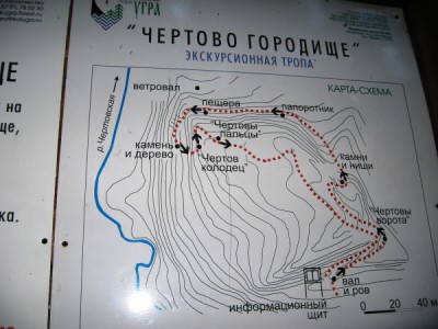 normal_IMG_4955.JPG