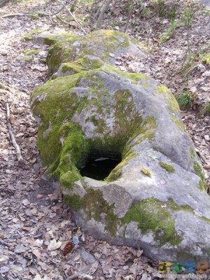 2254.jpg