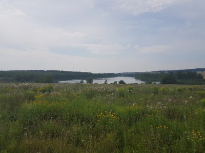 20180728_131717.jpg