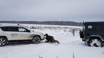 20190103_125305.jpg