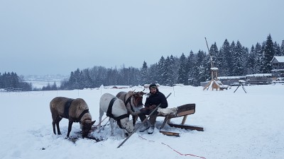 20190103_161035.jpg