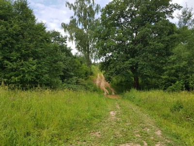 20180707_104812.jpg